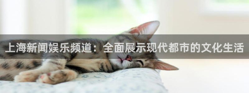 168全国统一开奖官网直播：上海新闻娱乐频道：全面展示现代都市的文化生活