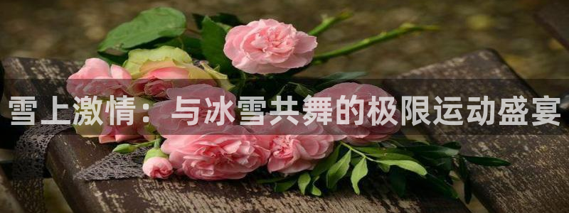 168全国统一开奖网官网：雪上激情：与冰雪共舞的极限运动盛宴