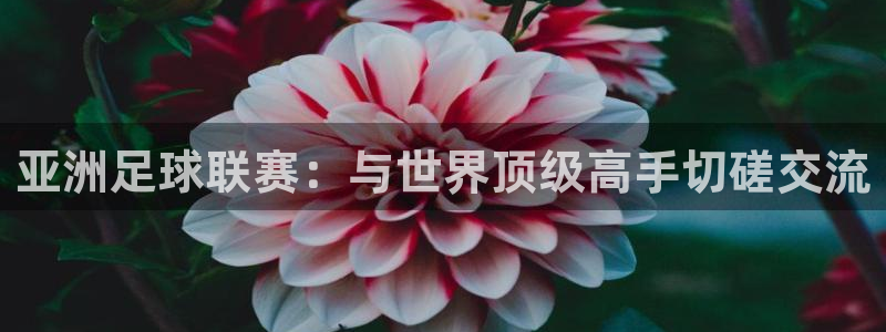 168全国开奖网开户：亚洲足球联赛：与世界顶级高手切磋交流