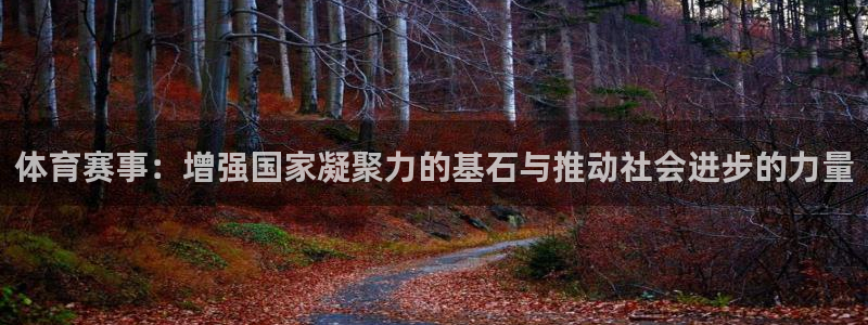 168全国统一开奖网：体育赛事：增强国家凝聚力的基石与推动社会进步的力量