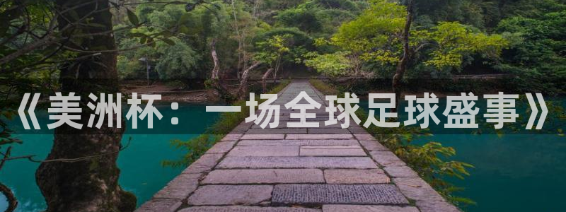168全国开奖网登录：《美洲杯：一场全球足球盛事》