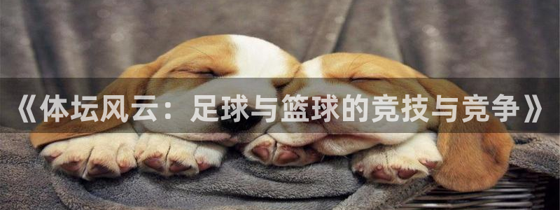168全国开奖网：《体坛风云：足球与篮球的竞技与竞争》