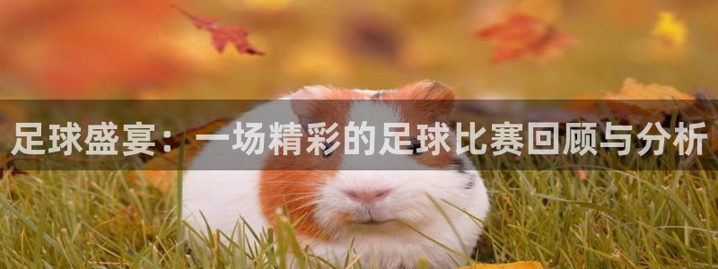 168全国开奖网：足球盛宴：一场精彩的足球比赛回顾与分析