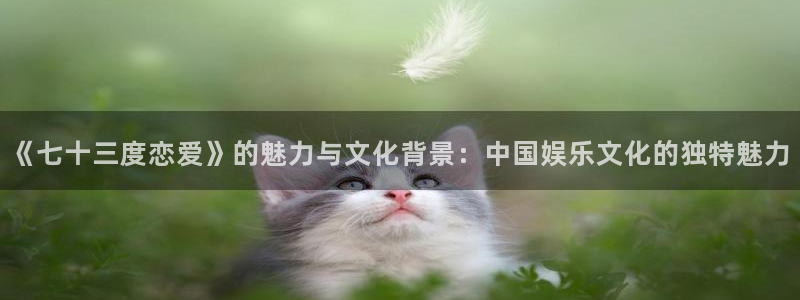 168全国开奖官网：《七十三度恋爱》的魅力与文化背景：中国娱乐文化的独特魅力