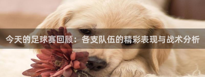 168全国开奖网链接：今天的足球赛回顾：各支队伍的精彩表现与战术分析