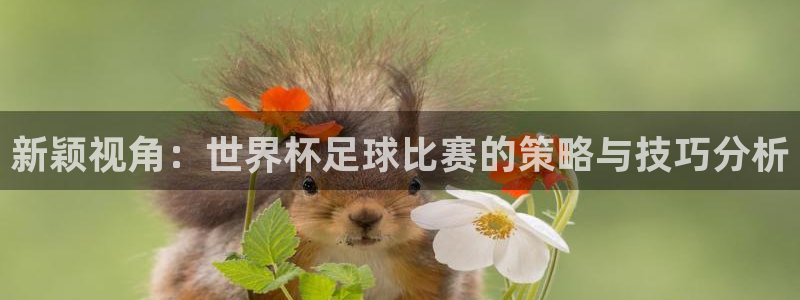 168全国开奖官网查询：新颖视角：世界杯足球比赛的策略与技巧分析
