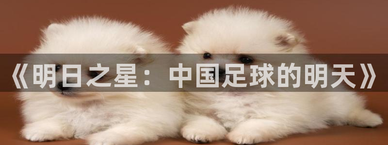168全国统一开奖网查询：《明日之星：中国足球的明天》