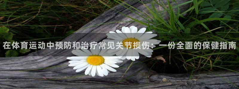 168全国开奖官网查询：在体育运动中预防和治疗常见关节损伤：一份全面的保健指南