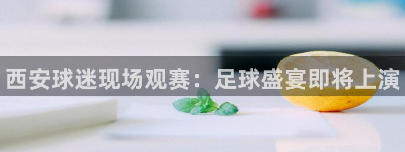 168全国统一开奖网app：西安球迷现场观赛：足球盛宴即将上演