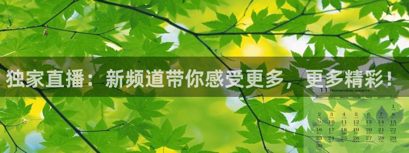 极速赛车168全国开奖：独家直播：新频道带你感受更多，更多精彩！