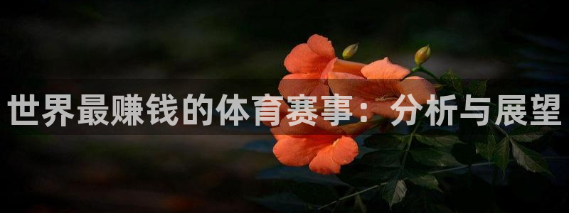 168全国统一开奖官网直播：世界最赚钱的体育赛事：分析与展望