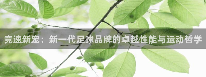 168全国开奖网平台：竞速新宠：新一代足球品牌的卓越性能与运动哲学