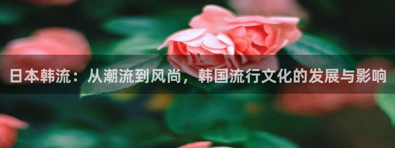 168全国开奖网登录：日本韩流：从潮流到风尚，韩国流行文化的发展与影响