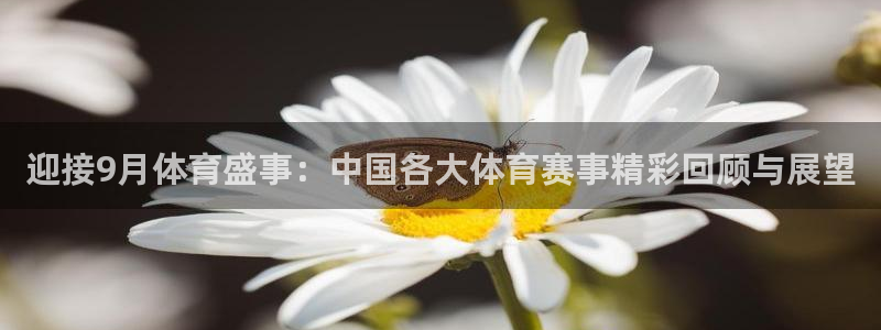 168全国开奖官网查询：迎接9月体育盛事：中国各大体育赛事精彩回顾与展望