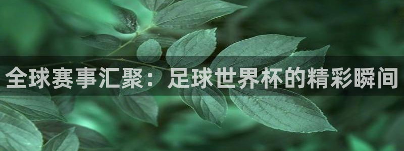 168全国统一开奖网下载：全球赛事汇聚：足球世界杯的精彩瞬间