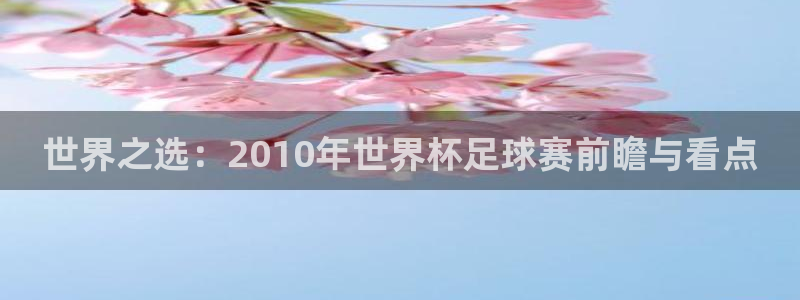 168全国开奖网链接：世界之选：2010年世界杯足球赛前瞻与看点