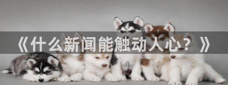 168全国开奖官网查询：《什么新闻能触动人心？》