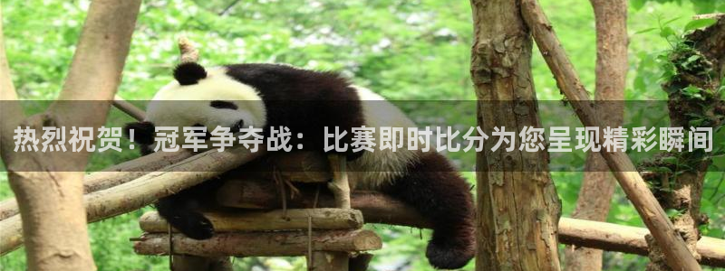 168全国开奖：热烈祝贺！冠军争夺战：比赛即时比分为您呈现精彩瞬间