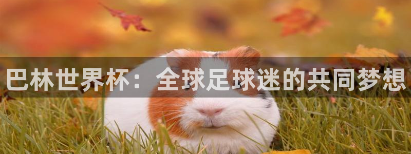 168全国开奖官网：巴林世界杯：全球足球迷的共同梦想