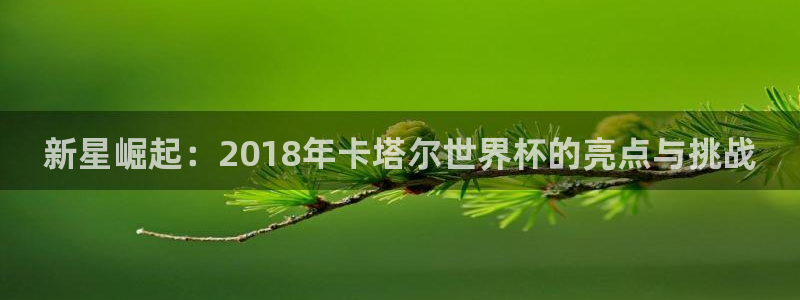 168全国统一开奖网：新星崛起：2018年卡塔尔世界杯的亮点与挑战