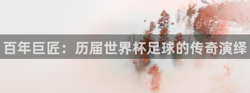 168全国统一开奖网下载：百年巨匠：历届世界杯足球的传奇演绎